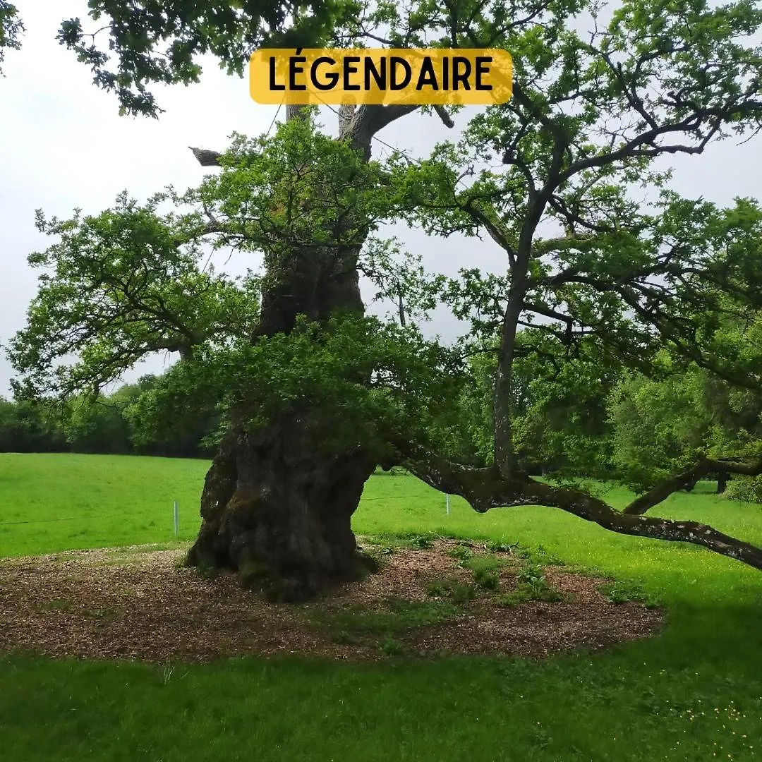 Camping Le Val Aux Fees - Broceliande Concoret